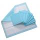 Hospital Disposable Blue Bed PEE Adult Underpads For Incontinence