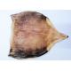 Fresh Semi Dried Squid / Seasoned Squid Body 45% - 55%  Moisture