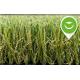 Monofilament Curly Yarn Outdoor Artificial Grass Healthy Landscaping False Turf