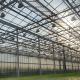 High Light Transmission Glass Commercial Greenhouse Hydroponic Setup for Full Payment