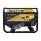 Small Portable 8.5KW Gasoline Powered Generator Hand Start