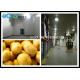 Customized Size Commercial Potato Storage / Potato Cold Storage Project