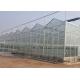 High Grade Galvanized Pipe Greenhouse Glass Covering Commercial