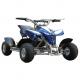 Sell 24V300W Electric Quad ATV 4 Wheeler ATV with Rear Disc Brake Endurance 10km