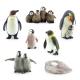 Penguin Life Cycle Figure Model Toy For Boys Girls Kids