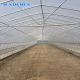 200 Micron Greenhouse Plastic / Pep Film Single Span Solar Tunnel Plastic Greenhouse