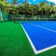 Curled Plastic Blue Artificial Turf For Cricket Pitch Field Easy Keeping