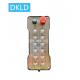 Twelve-way single speed switch industrial remote control