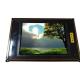 MD480T640PG4 11.3 inch 640*480 TFT- LCD  Screen Panel