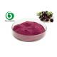 Pink To Red Fruit Juice Powder Acai Berry Fruit Powder Health Care Field