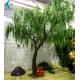 Fiberglass Trunk Fake Willow Tree , Faux Weeping Willow For Lakeside Decoration