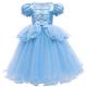 Girls Princess Dress Girls Lace Evening Dress Summer Children'S Clothing