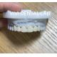 Dental Anterior Zirconia Bridge ISO Certified Fast Turnaround Time