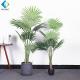 Fan Shaped Leaves Artificial Bonsai Tree , Artificial Palm Trees For Shop Window Display