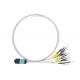 40G MTP MPO To LC Bare ferrule OM3 Patch Cord Multimode Fiber Optic Cable