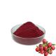 HALAL Fruit Cranberry Juice Powder Good Fluidity Easy To Dissolve