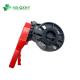 Test Pressure Tested Plastic Butterfly Valve for Water Supply DIN ANSI JIS Standard