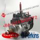 Fuel Injection Common Rail Pump 9521A031H 9521A030H For CAT 320D2 Engine