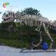 length 15m Museum Quality Dinosaur Replicas T Rex Skull water repellent