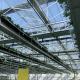 Commercial Greenhouse Type Roof Glass Greenhouse with Hydroponic System 30-Day Guarantee
