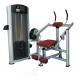 Professional Physcial Home Fitness Equipment , Back Extension Body Exercise Machine