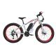 Red Color 500 watt 26 Inch Fat Tire Electric Bike with 21 Speed Choice