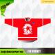 Custom 300gsm 3XL Team Ice Hockey Jersey / Shirts Uniex Use
