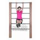 outdoor exercise equipments WPC materials based wall bars gymnastic bars for sale