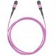 OM3 OM5 MPO Fiber Optic Cable Trunk Mpo Patch Cord Data Center Patch Cords