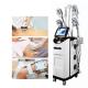 360 Cryolipolysis Machine Combined With RF Handle For Face And Body Fat Reduce