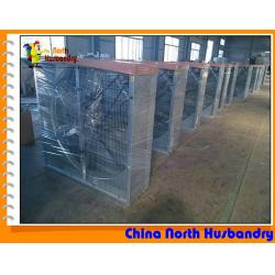 chicken egg layer house, chicken egg layer house Manufacturers and 