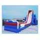 2015 Giant Inflatable Water Pool Slide for Amusement Park (CY-M2131)