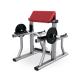 Biceps Gym Fitness Equipment , Forearm Curl Machine Luxury Outstanding Performance