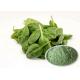 Healthy Food Spinach Extract Powder Smooth Texture With Anti Aging