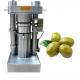 High Pressure 60Mpa Industrial Avocado Olive Oil Press Machine With 1600 Kg Weight