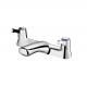 Contemporary Two Handle Faucet 228mm Length Centerset Bathroom Faucet