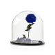 Borosilicate Large Glass Dome With Base , 20cm Height Glass Bell Cloche