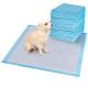 Clean Hygienic Dog Urine Pad Disposable For Pets Potty Training