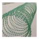Stainless Steel Barbed Wire Barbed Dark Green Wire Of Painted Iron