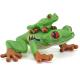 Animal Model Red Eyed Tree Frog Party Favors Toys For Boys Girls Kids