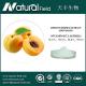 apricot kernel extract/amygdalin 98% 99% /vb17 Laeirile