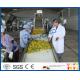 Complete Turn key Project Mango Fruit Juice Processing Line High Engery Saving