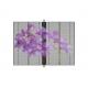 AC100-240V 60Hz Input Transparent LED Display Screen for Indoor Advertising Video Display Function 3-5 Years Warrant