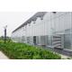 Agricultural Venlo Type Greenhouse , Stable Structure Polycarbonate Sheet Greenhouse