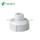Plastic Pipe Fitting PVC Cap Male Reducer for Glue Connection in Industry