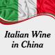 Douyin WeChat MP Promotion Italian Wine In China Imported From Italy PPT Brochure