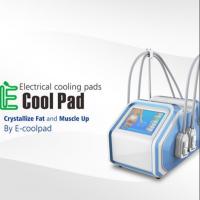 110V 60Hz Portable Fat Freezing Machine , Electrical Muscle Stimulation Equipment