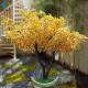Golden Artificial Ginkgo Tree For Wedding Hotel Interior Landscaping Decoration