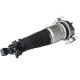 7L6616019 Rear Car Chassis Air Suspension Shock Aborbers Air Strut For Audi Q7