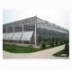 Maximize Harvest Super Strong Resistance Multi Span Agricultural Greenhouses